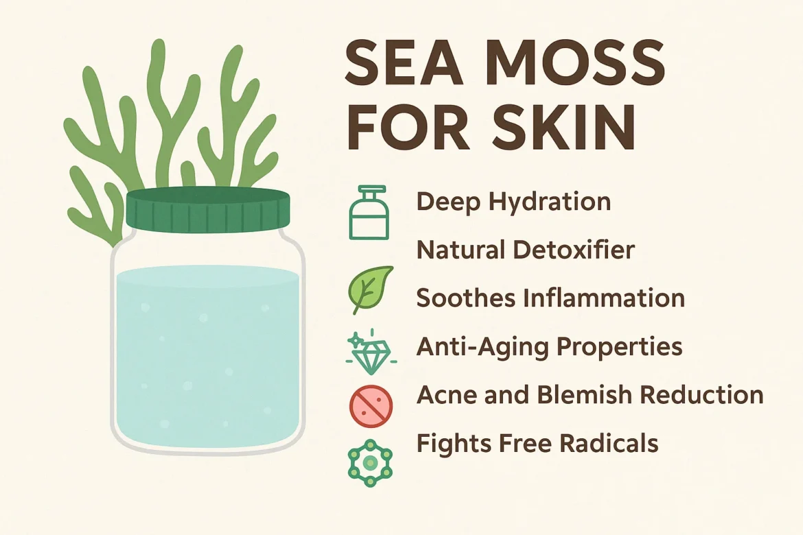 Sea Moss for Skin Care Sea Moss for Skin Care