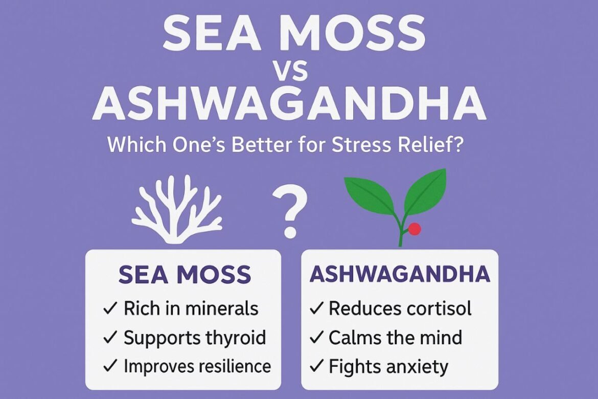 IMG_20250430_091541_301 Sea Moss vs Ashwagandha